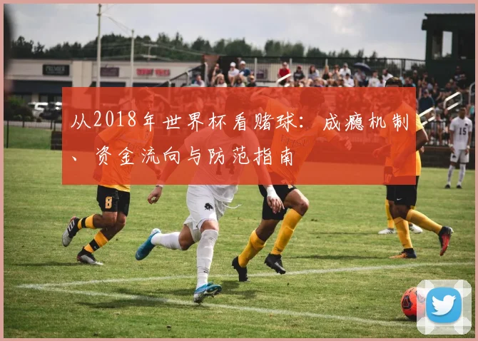 从2018年世界杯看赌球:成瘾机制、资金流向与防范指南