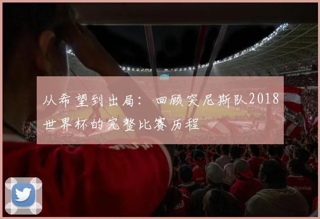 从希望到出局：回顾突尼斯队2018世界杯的完整比赛历程