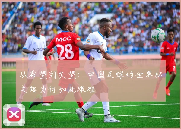从希望到失望：中国足球的世界杯之路为何如此艰难