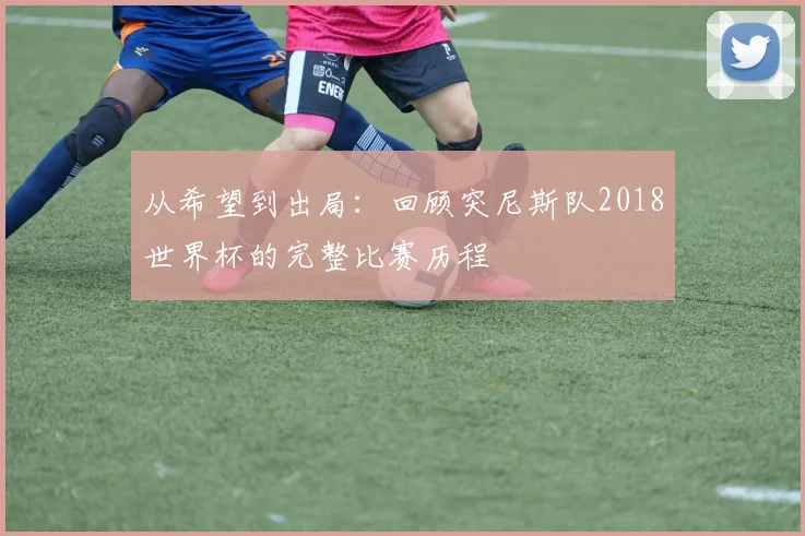 从希望到出局：回顾突尼斯队2018世界杯的完整比赛历程