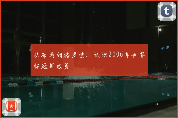 从布冯到格罗索：认识2006年世界杯冠军成员